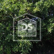 Terreno Rstico T0 - Vila Boa de Quires, Marco de Canaveses, Porto - Miniatura: 15/17