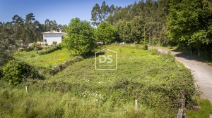 Terreno Rstico T0 - Canedo, Santa Maria da Feira, Aveiro - Miniatura: 8/21