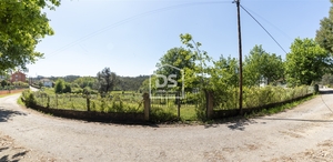 Terreno Rstico T0 - Canedo, Santa Maria da Feira, Aveiro - Miniatura: 20/21