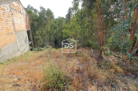 Terreno Rstico T0 - Lagares, Penafiel, Porto - Miniatura: 9/21