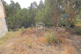 Terreno Rstico T0 - Lagares, Penafiel, Porto - Miniatura: 10/21