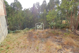 Terreno Rstico T0 - Lagares, Penafiel, Porto - Miniatura: 13/21