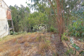 Terreno Rstico T0 - Lagares, Penafiel, Porto - Miniatura: 15/21