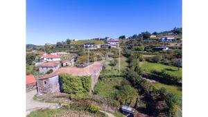 Terreno R�stico T0 - Argoncilhe, Santa Maria da Feira, Aveiro - Miniatura: 22/24