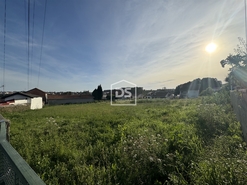 Terreno Rstico T0 - Argoncilhe, Santa Maria da Feira, Aveiro - Miniatura: 18/24