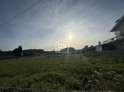 Terreno Rstico T0 - Argoncilhe, Santa Maria da Feira, Aveiro - Miniatura: 20/24