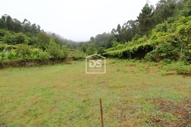 Terreno Rstico T0 - Souselo, Cinfes, Viseu - Miniatura: 14/24