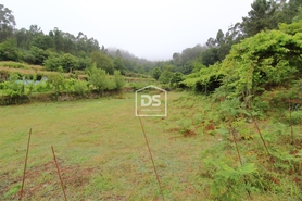 Terreno Rstico T0 - Souselo, Cinfes, Viseu - Miniatura: 15/24
