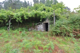 Terreno Rstico T0 - Souselo, Cinfes, Viseu - Miniatura: 16/24