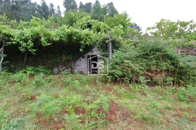 Terreno Rstico T0 - Souselo, Cinfes, Viseu - Miniatura: 17/24