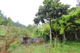 Terreno Rstico T0 - Souselo, Cinfes, Viseu - Miniatura: 18/24