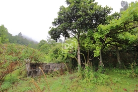 Terreno Rstico T0 - Souselo, Cinfes, Viseu - Miniatura: 19/24