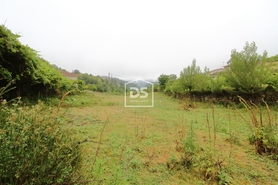 Terreno Rstico T0 - Souselo, Cinfes, Viseu - Miniatura: 20/24