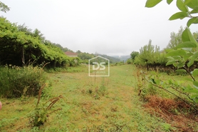Terreno Rstico T0 - Souselo, Cinfes, Viseu - Miniatura: 21/24