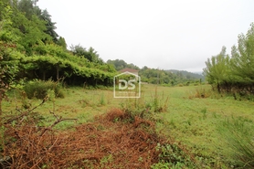 Terreno Rstico T0 - Souselo, Cinfes, Viseu - Miniatura: 22/24