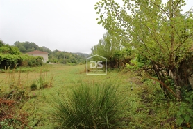 Terreno Rstico T0 - Souselo, Cinfes, Viseu - Miniatura: 23/24