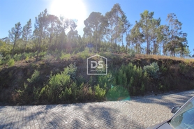 Terreno Rstico T0 - Sobreira, Paredes, Porto - Miniatura: 1/7