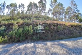 Terreno Rstico T0 - Sobreira, Paredes, Porto - Miniatura: 2/7