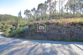 Terreno Rstico T0 - Sobreira, Paredes, Porto - Miniatura: 3/7