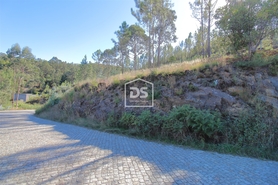 Terreno Rstico T0 - Sobreira, Paredes, Porto - Miniatura: 4/7
