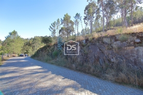 Terreno Rstico T0 - Sobreira, Paredes, Porto - Miniatura: 5/7