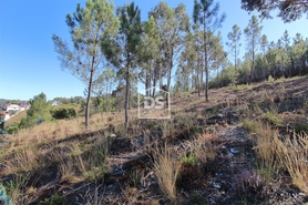 Terreno Rstico T0 - Sobreira, Paredes, Porto - Miniatura: 7/7