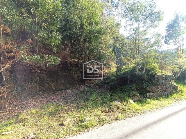 Terreno R�stico T0 - Gandra, Valen�a, Viana do Castelo - Imagem grande