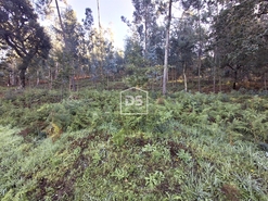 Terreno R�stico T0 - Fontoura, Valen�a, Viana do Castelo - Miniatura: 4/7