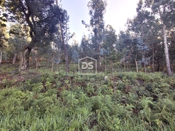 Terreno R�stico T0 - Fontoura, Valen�a, Viana do Castelo - Miniatura: 5/7