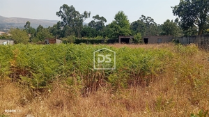 Terreno R�stico T0 - Cerdal, Valen�a, Viana do Castelo - Miniatura: 2/4