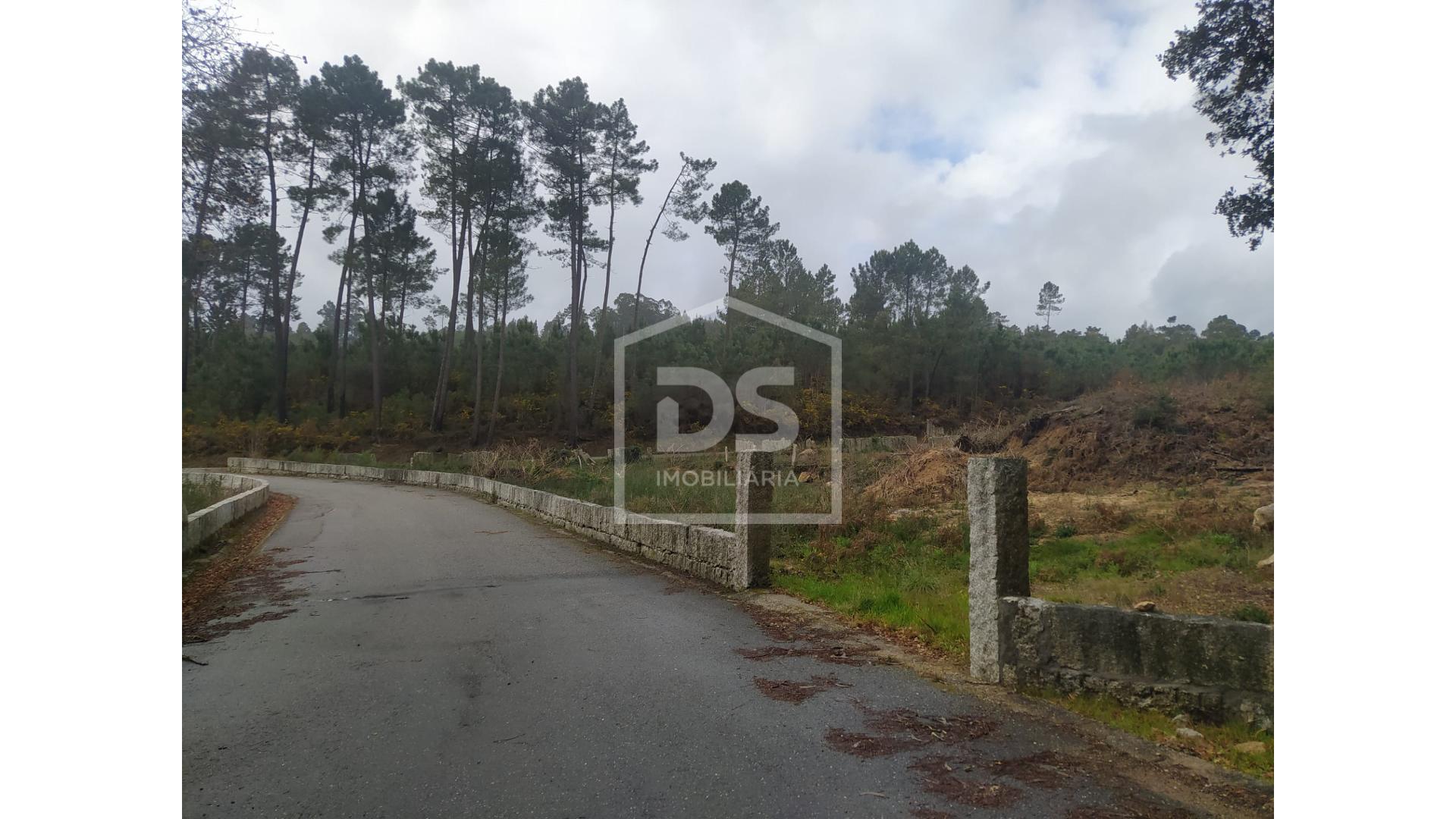 Quinta T4 - Cerdal, Valen�a, Viana do Castelo - Miniatura: 16/24