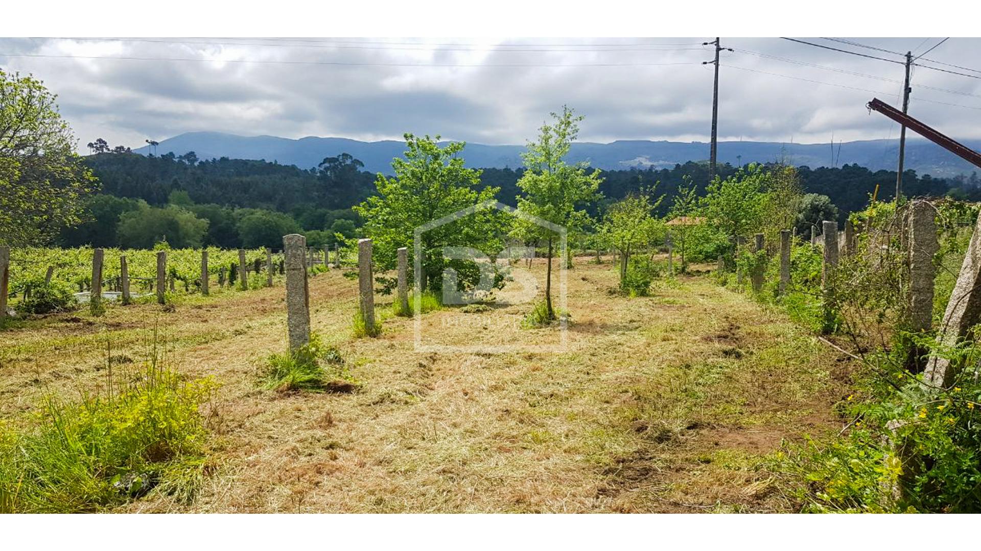 Terreno Urbano T0 - Friestas, Valen�a, Viana do Castelo - Miniatura: 15/24