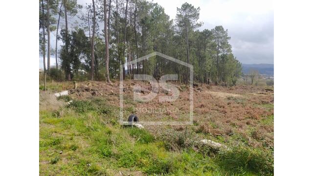 Terreno Rústico - Podame, Monção, Viana do Castelo - Imagem grande