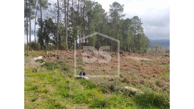 Terreno Rstico - Podame, Mono, Viana do Castelo - Imagem grande