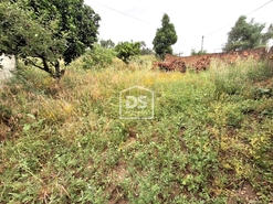 Terreno Rstico T0 - Gandra, Valena, Viana do Castelo - Miniatura: 11/21