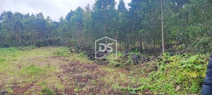 Terreno Urbano T0 - Terra Ch�, Angra do Heroismo, Ilha Terceira - Miniatura: 4/15