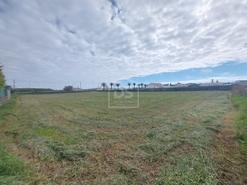 Terreno Urbano T0 - Cabo da Praia, Praia da Vitria, Ilha Terceira - Miniatura: 11/15