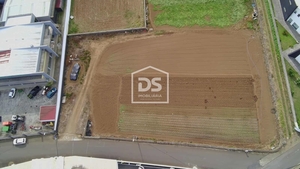 Terreno R�stico T0 - Praia da Vit�ria, Praia da Vit�ria, Ilha Terceira - Miniatura: 11/19