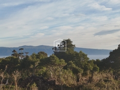 Terreno Urbano T0 - Piedade, Lajes do Pico, Ilha do Pico - Miniatura: 2/24
