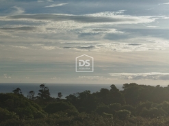 Terreno Urbano T0 - Piedade, Lajes do Pico, Ilha do Pico - Miniatura: 4/24