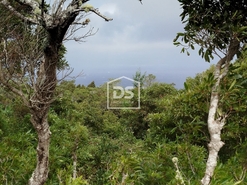Terreno Urbano T0 - Piedade, Lajes do Pico, Ilha do Pico - Miniatura: 6/24