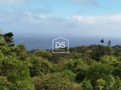 Terreno Urbano T0 - Piedade, Lajes do Pico, Ilha do Pico - Miniatura: 7/24