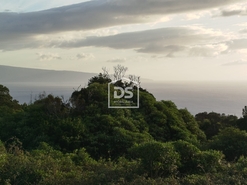 Terreno Urbano T0 - Piedade, Lajes do Pico, Ilha do Pico - Miniatura: 11/24