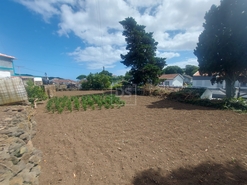Terreno Urbano T0 - Praia da Vitria, Praia da Vitria, Ilha Terceira - Miniatura: 5/21
