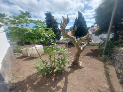 Terreno Urbano T0 - Praia da Vitria, Praia da Vitria, Ilha Terceira - Miniatura: 10/21