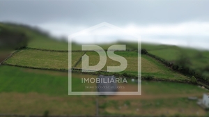 Terreno Urbano T0 - Piedade, Lajes do Pico, Ilha do Pico - Miniatura: 19/24