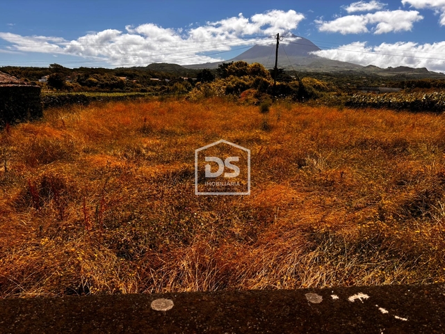 Terreno Rústico T0 - Madalena, Madalena, Ilha do Pico - Imagem grande