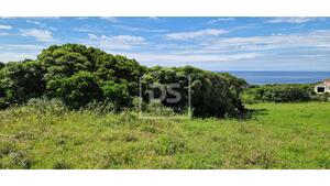 Terreno Urbano T0 - Piedade, Lajes do Pico, Ilha do Pico - Miniatura: 4/20