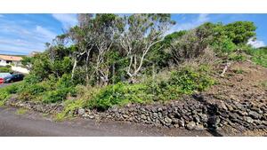 Terreno Urbano T0 - Piedade, Lajes do Pico, Ilha do Pico - Miniatura: 10/20