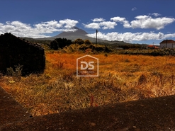 Terreno Rstico T0 - Madalena, Madalena, Ilha do Pico - Miniatura: 14/20